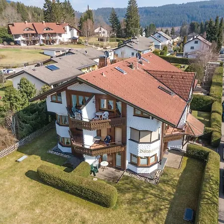 Jonifee Am Apartment Titisee-Neustadt