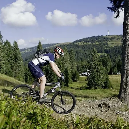 Jonifee Am * Titisee-Neustadt